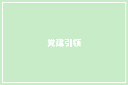 党建引领，责任担当_新时代党建责任计划的探索与方法