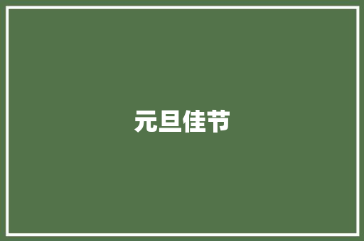 元旦佳节，共筑美好未来_2023年元旦计划书