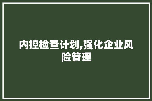 内控检查计划,强化企业风险管理，保障企业稳健发展