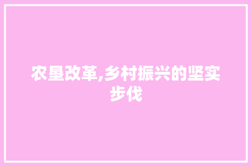 农垦改革,乡村振兴的坚实步伐