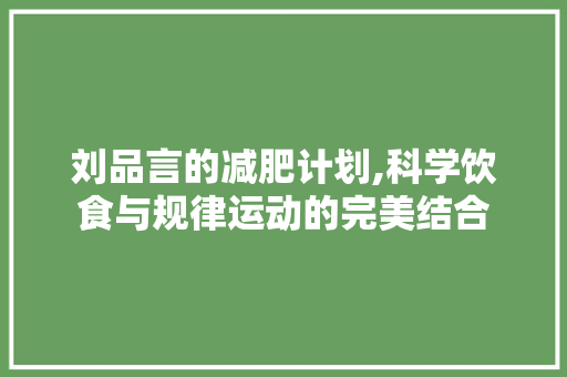 刘品言的减肥计划,科学饮食与规律运动的完美结合