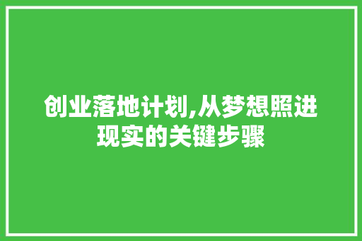 创业落地计划,从梦想照进现实的关键步骤