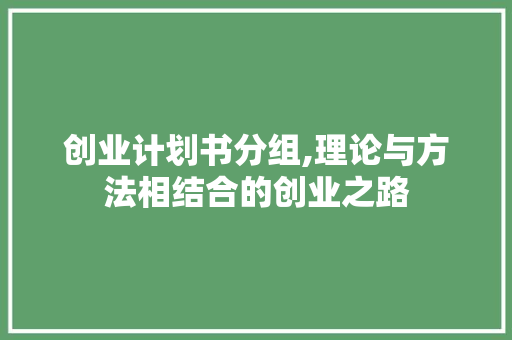 创业计划书分组,理论与方法相结合的创业之路