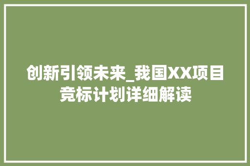 创新引领未来_我国XX项目竞标计划详细解读