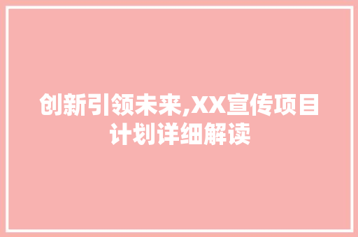 创新引领未来,XX宣传项目计划详细解读