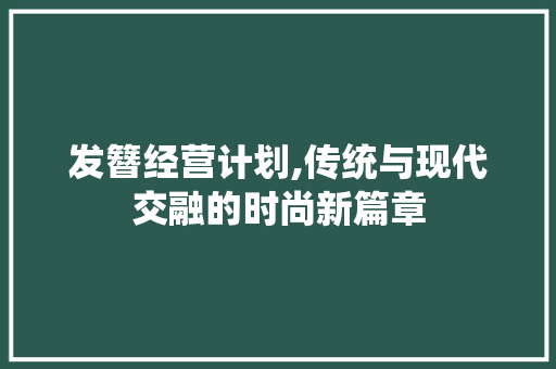 发簪经营计划,传统与现代交融的时尚新篇章