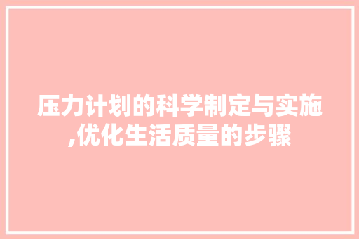 压力计划的科学制定与实施,优化生活质量的步骤