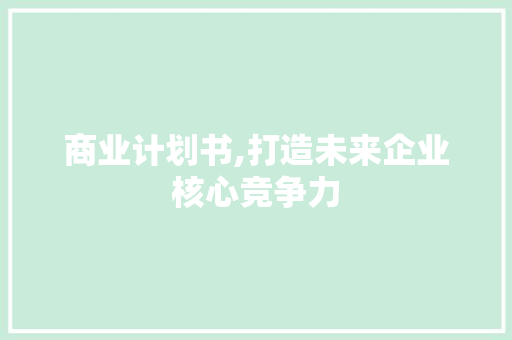 商业计划书,打造未来企业核心竞争力