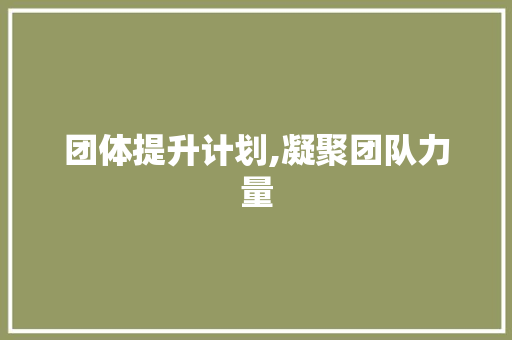 团体提升计划,凝聚团队力量，共创美好未来