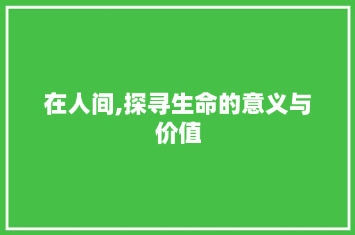 在人间,探寻生命的意义与价值