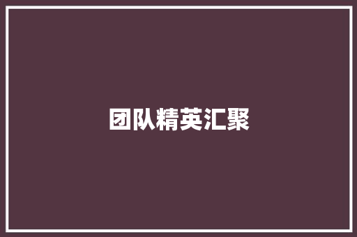 团队精英汇聚，共创辉煌未来_计划书成员经历介绍