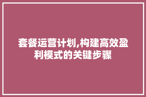 套餐运营计划,构建高效盈利模式的关键步骤