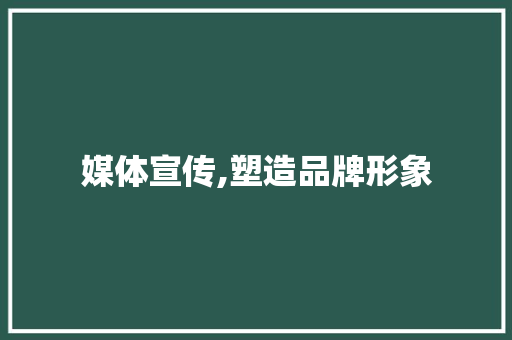 媒体宣传,塑造品牌形象，助力企业发展新篇章