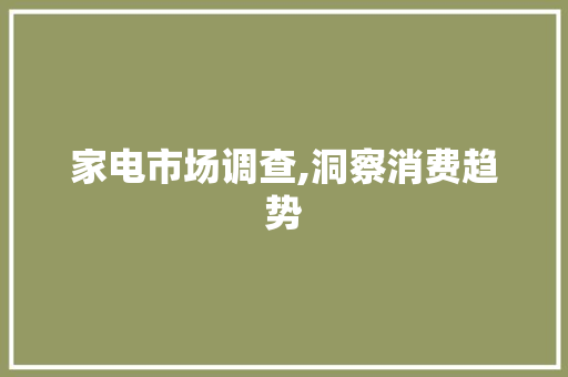 家电市场调查,洞察消费趋势，引领行业发展