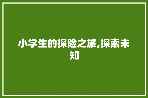 小学生的探险之旅,探索未知，成长自我