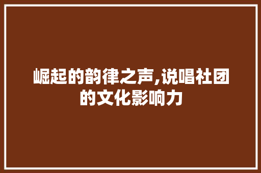 崛起的韵律之声,说唱社团的文化影响力