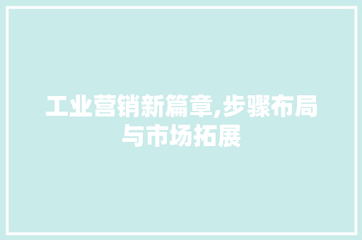 工业营销新篇章,步骤布局与市场拓展