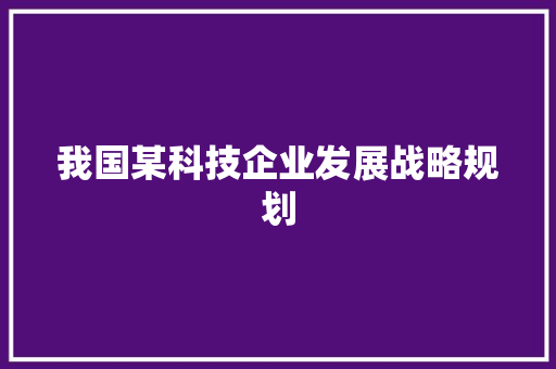 我国某科技企业发展战略规划