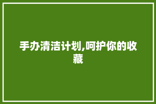 手办清洁计划,呵护你的收藏，焕发二次元魅力