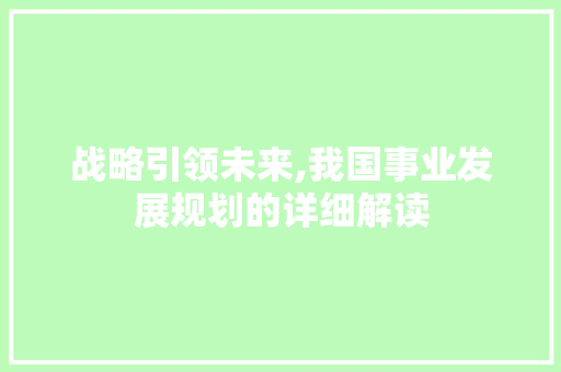 战略引领未来,我国事业发展规划的详细解读