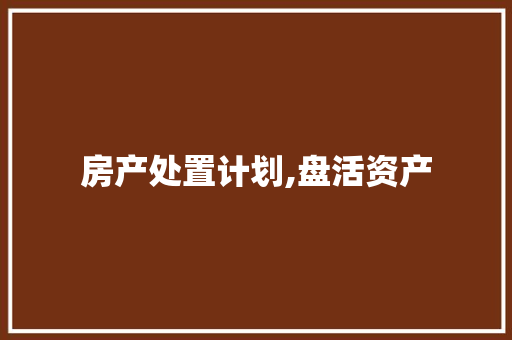 房产处置计划,盘活资产，实现财富增值之路