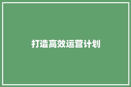 打造高效运营计划，助力企业持续发展