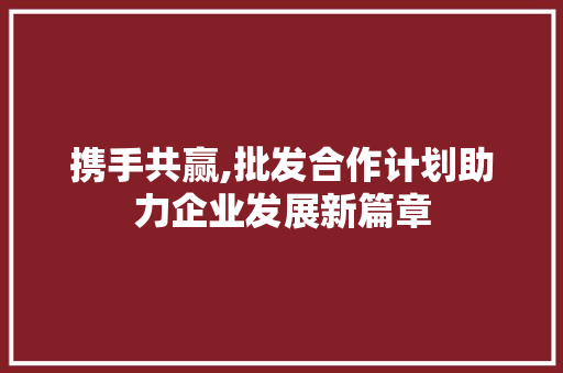 携手共赢,批发合作计划助力企业发展新篇章