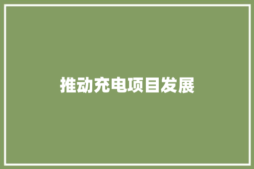 推动充电项目发展，助力绿色出行新篇章