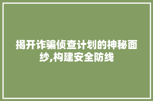 揭开诈骗侦查计划的神秘面纱,构建安全防线，守护人民财产安全