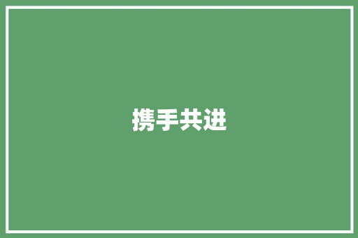 携手共进，共创未来_合作计划书详细解读