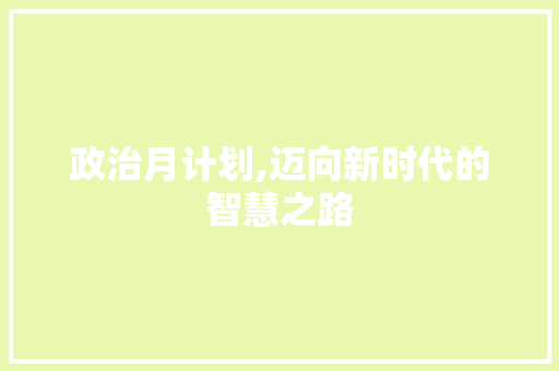 政治月计划,迈向新时代的智慧之路