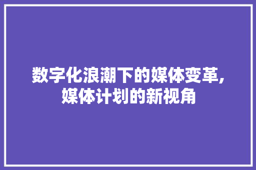 数字化浪潮下的媒体变革,媒体计划的新视角