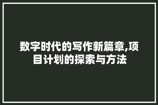 数字时代的写作新篇章,项目计划的探索与方法