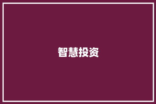 智慧投资，点亮未来_解读我国商店投资计划