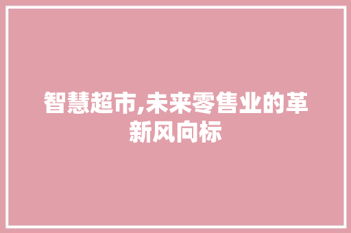 智慧超市,未来零售业的革新风向标