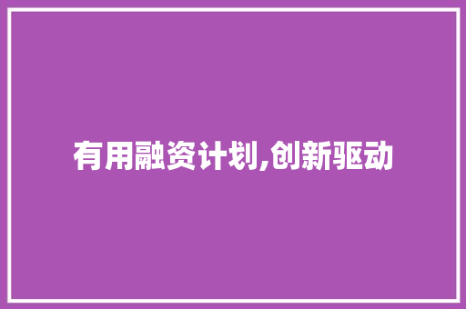 有用融资计划,创新驱动，助力企业腾飞