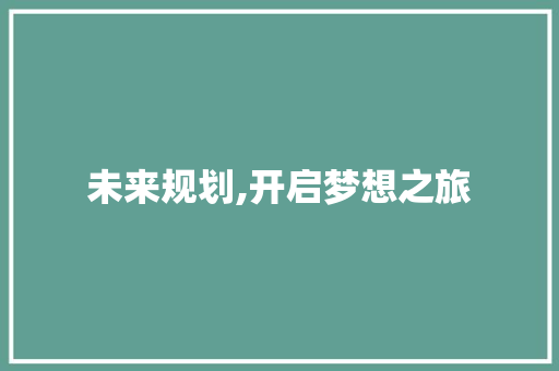 未来规划,开启梦想之旅，共筑美好明天_计划书封皮背后的故事与愿景