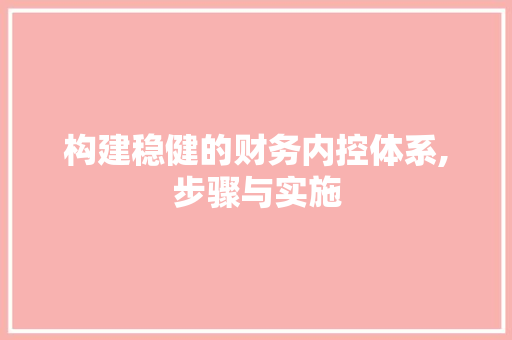 构建稳健的财务内控体系,步骤与实施