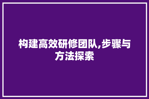 构建高效研修团队,步骤与方法探索