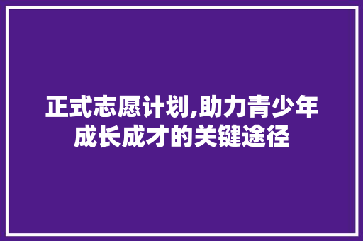 正式志愿计划,助力青少年成长成才的关键途径