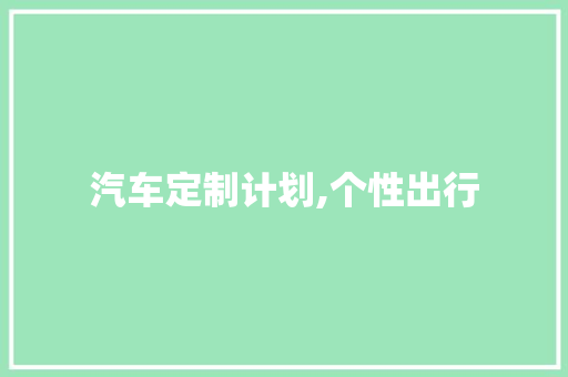 汽车定制计划,个性出行，引领未来交通潮流