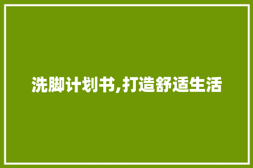 洗脚计划书,打造舒适生活，提升生活质量
