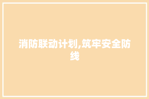 消防联动计划,筑牢安全防线，守护生命财产安全