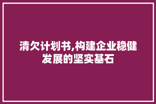 清欠计划书,构建企业稳健发展的坚实基石