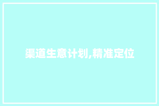 渠道生意计划,精准定位，打造高效市场布局