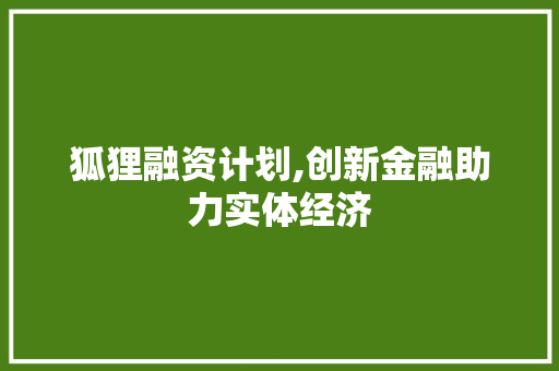 狐狸融资计划,创新金融助力实体经济，共筑未来美好愿景