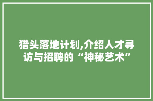 猎头落地计划,介绍人才寻访与招聘的“神秘艺术”