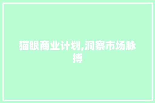 猫眼商业计划,洞察市场脉搏，引领文娱产业新潮流