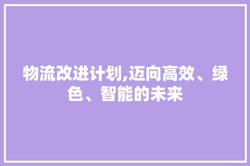 物流改进计划,迈向高效、绿色、智能的未来