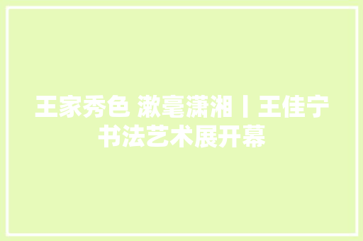 王家秀色 漱毫潇湘丨王佳宁书法艺术展开幕